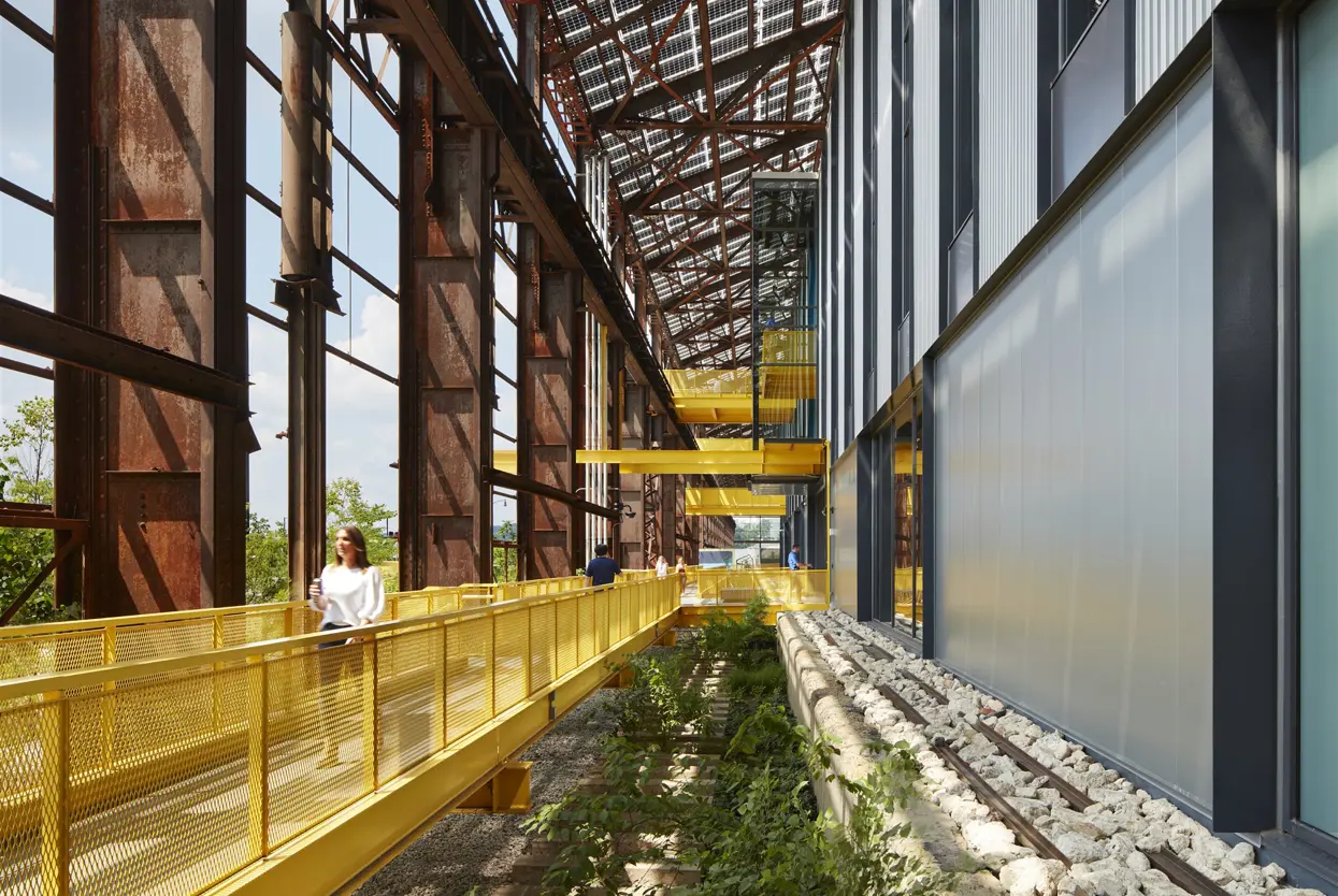 Firm Profile | MSR Design