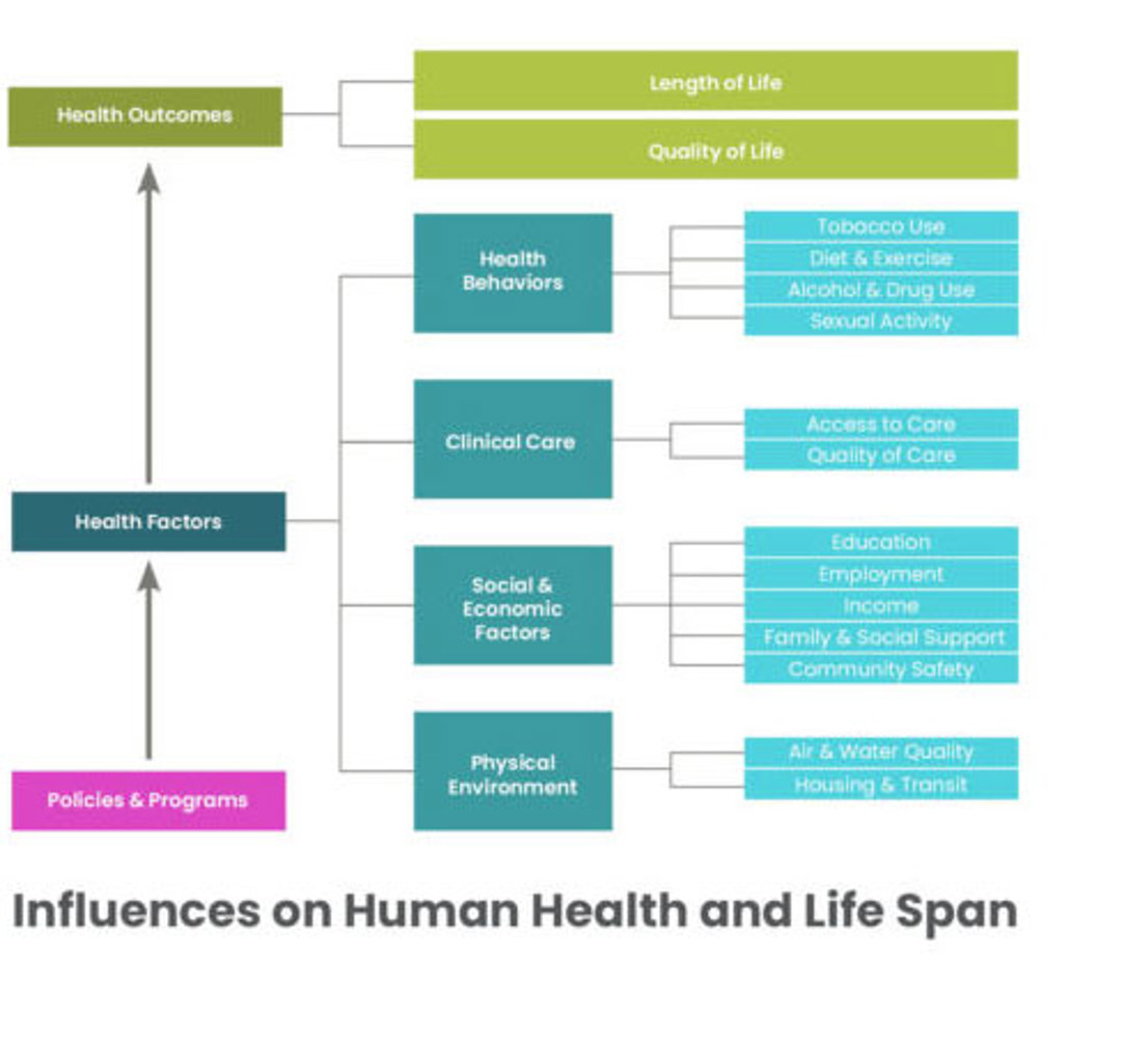 Diagram showing the influences on Human Health and Life Span, including policies and programs, and health factors such as health behaviors, clinical care, social & economic factors, and physical environment.
